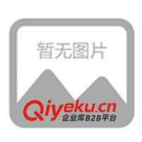 供應(yīng)朝陽市兒童籃球機/朝陽市兒童投籃機(圖)